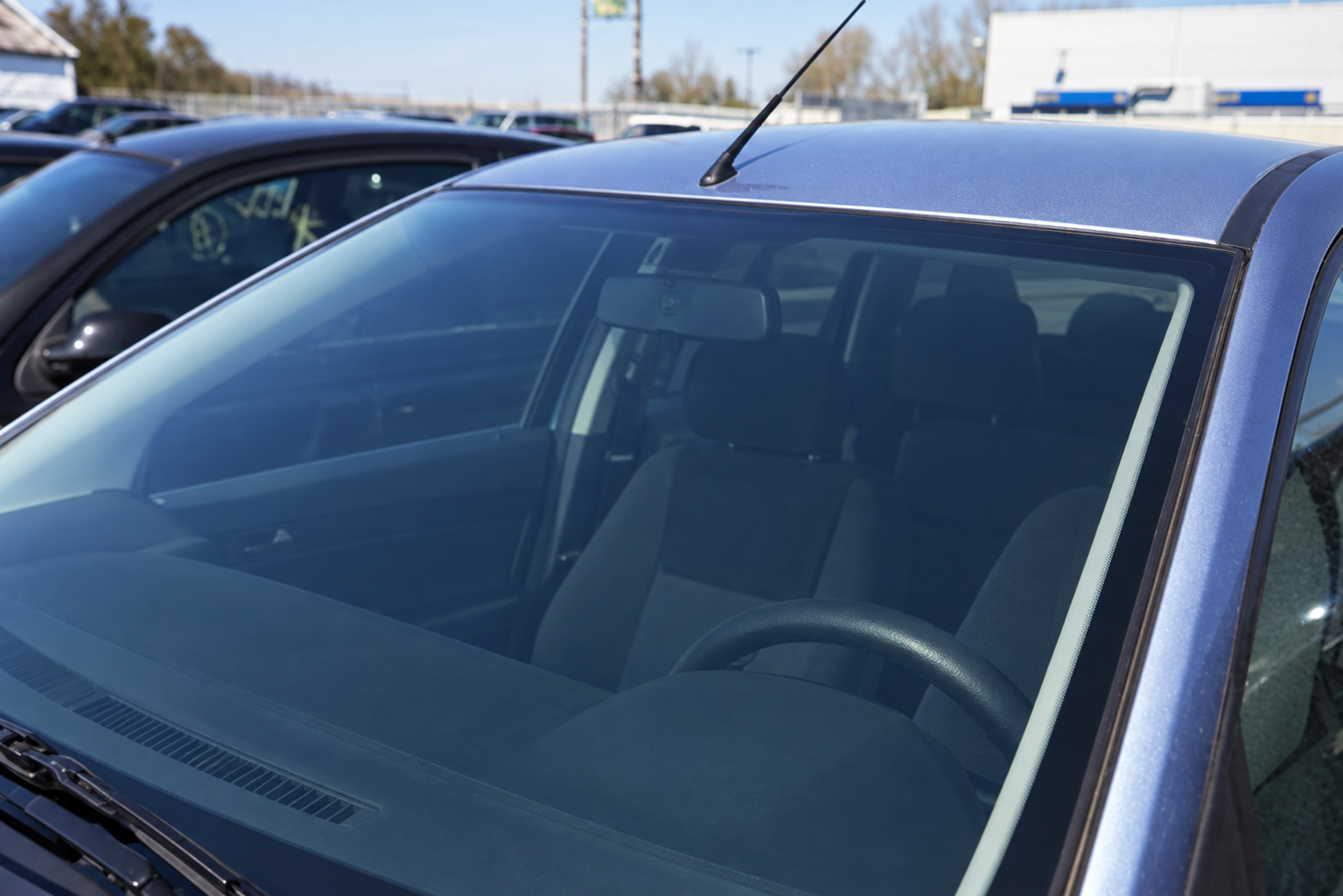 Repaired windshield